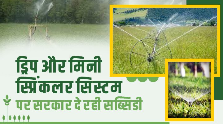 बिहार टपक सिंचाई योजना – आधुनिक खेती के लिए जल बचत योजना